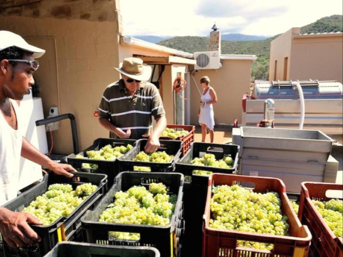 Mymering Wine & Guest Estate Ladismith Exteriér fotografie