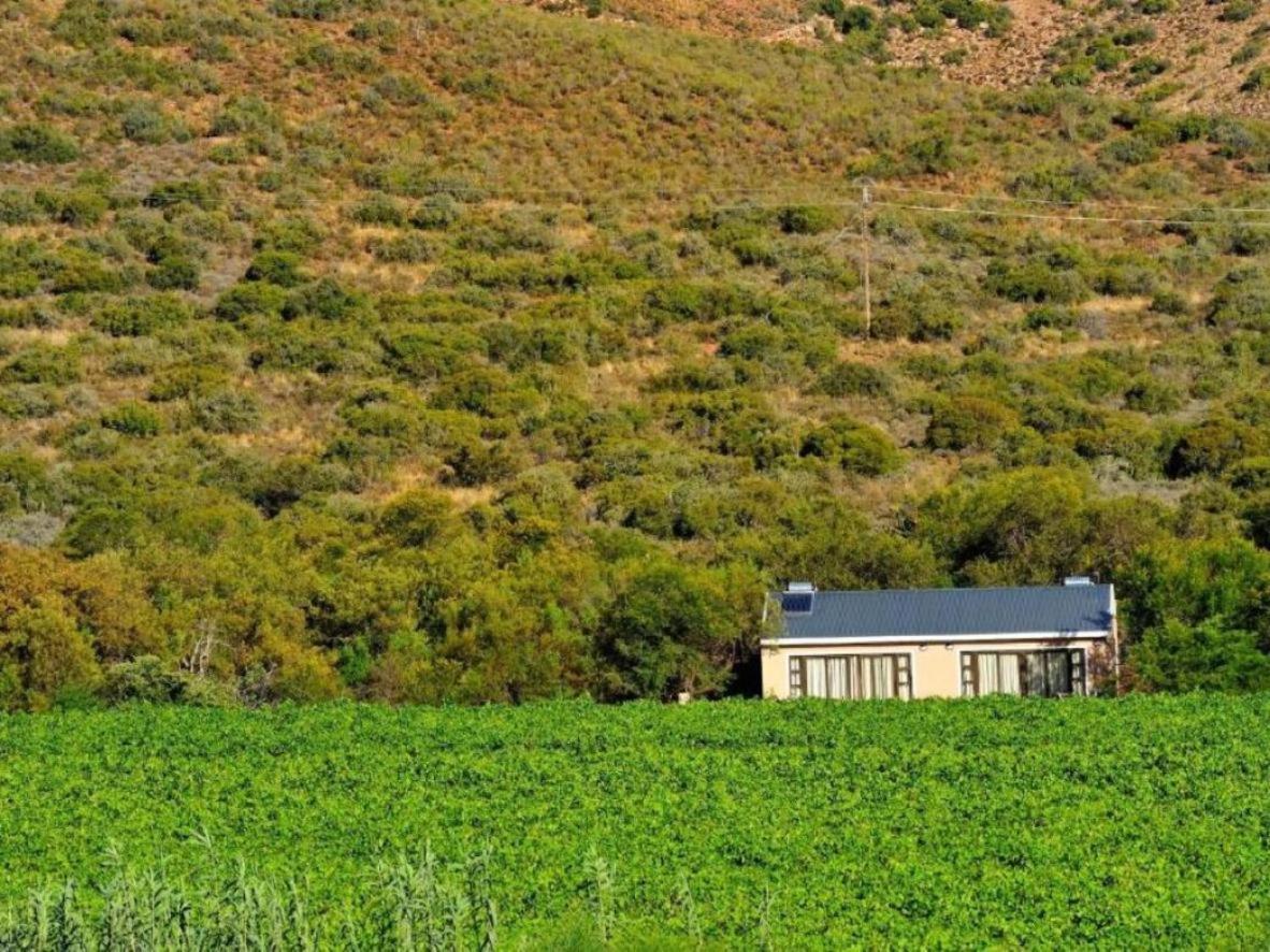 Mymering Wine & Guest Estate Ladismith Exteriér fotografie