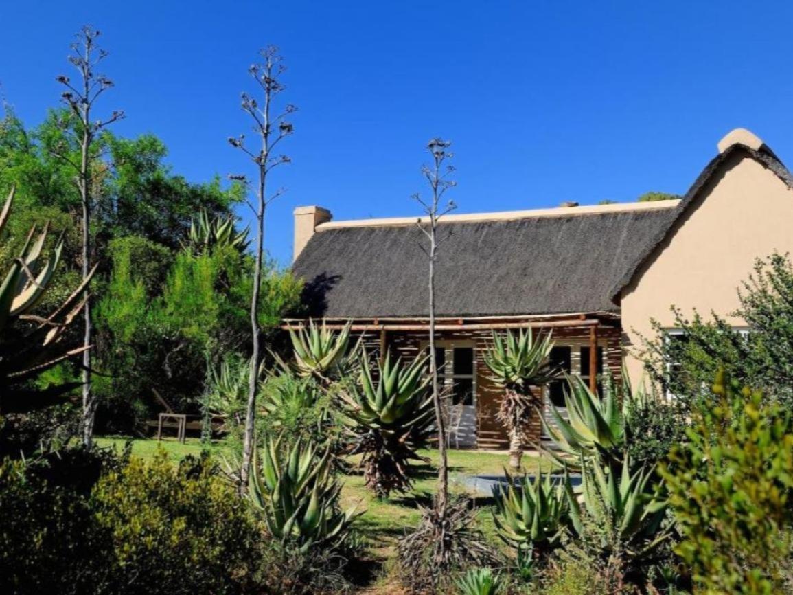Mymering Wine & Guest Estate Ladismith Pokoj fotografie