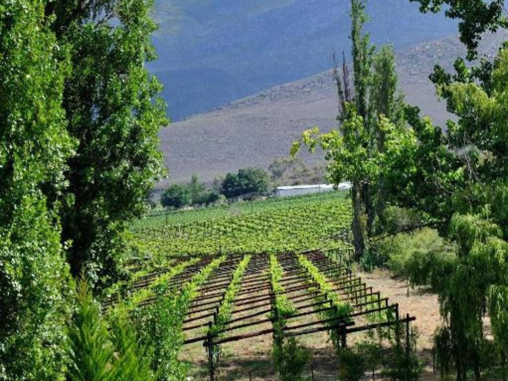 Mymering Wine & Guest Estate Ladismith Exteriér fotografie
